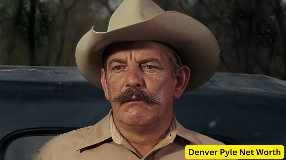 1. Denver Pyle Net Worth: A Comprehensive Analysis