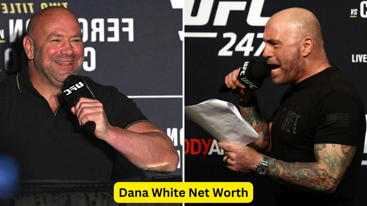 Dana White Net Worth 2024: Unveiling the Wealth of the UFC President